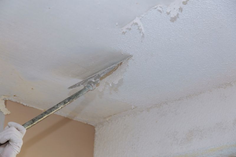 Ceiling Texture Removal detail