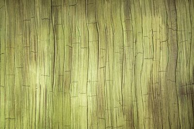 Decorative Interior Painting Techniques